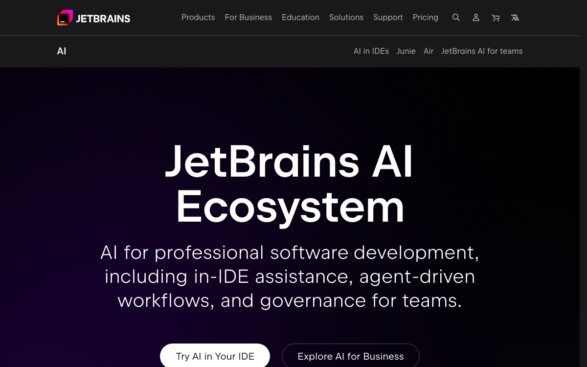 JetBrains AI 界面预览
